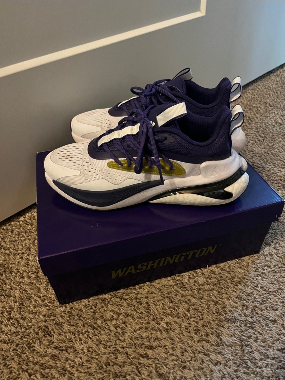 UW, University of Washington, White and Purple Sneakers with gold Accent